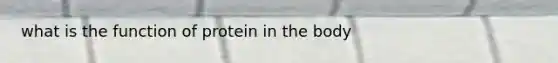 what is the function of protein in the body