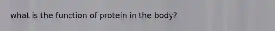 what is the function of protein in the body?