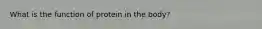 What is the function of protein in the body?