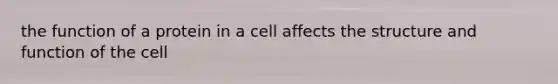 the function of a protein in a cell affects the structure and function of the cell