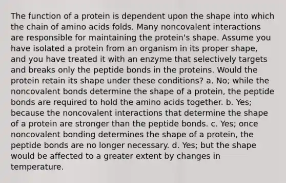 The function of a protein is dependent upon the shape into which the chain of amino acids folds. Many noncovalent interactions are responsible for maintaining the protein's shape. Assume you have isolated a protein from an organism in its proper shape, and you have treated it with an enzyme that selectively targets and breaks only the peptide bonds in the proteins. Would the protein retain its shape under these conditions? a. No; while the noncovalent bonds determine the shape of a protein, the peptide bonds are required to hold the amino acids together. b. Yes; because the noncovalent interactions that determine the shape of a protein are stronger than the peptide bonds. c. Yes; once noncovalent bonding determines the shape of a protein, the peptide bonds are no longer necessary. d. Yes; but the shape would be affected to a greater extent by changes in temperature.