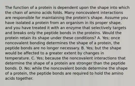 The function of a protein is dependent upon the shape into which the chain of amino acids folds. Many noncovalent interactions are responsible for maintaining the protein's shape. Assume you have isolated a protein from an organism in its proper shape, and you have treated it with an enzyme that selectively targets and breaks only the peptide bonds in the proteins. Would the protein retain its shape under these conditions? A. Yes; once noncovalent bonding determines the shape of a protein, the peptide bonds are no longer necessary. B. Yes; but the shape would be affected to a greater extent by changes in temperature. C. Yes; because the noncovalent interactions that determine the shape of a protein are stronger than the peptide bonds. D. No; while the noncovalent bonds determine the shape of a protein, the peptide bonds are required to hold the amino acids together.