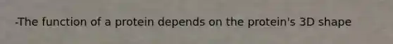 -The function of a protein depends on the protein's 3D shape