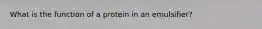 What is the function of a protein in an emulsifier?