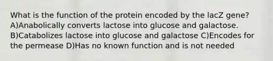 What is the function of the protein encoded by the lacZ gene? A)Anabolically converts lactose into glucose and galactose. B)Catabolizes lactose into glucose and galactose C)Encodes for the permease D)Has no known function and is not needed