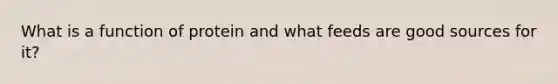 What is a function of protein and what feeds are good sources for it?