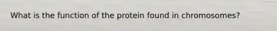 What is the function of the protein found in chromosomes?