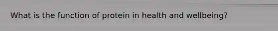 What is the function of protein in health and wellbeing?