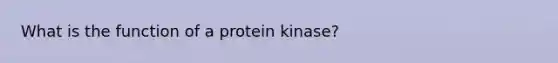 What is the function of a protein kinase?