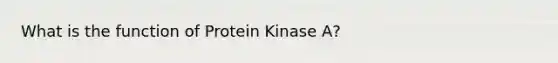 What is the function of Protein Kinase A?