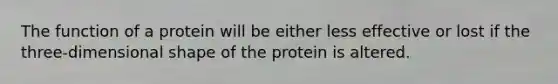 The function of a protein will be either less effective or lost if the three-dimensional shape of the protein is altered.