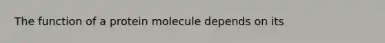 The function of a protein molecule depends on its