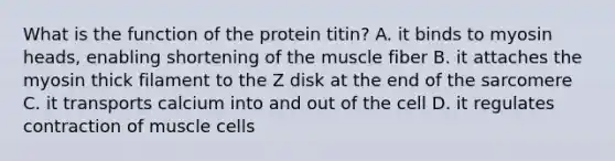 What is the function of the protein titin? A. it binds to myosin heads, enabling shortening of the muscle fiber B. it attaches the myosin thick filament to the Z disk at the end of the sarcomere C. it transports calcium into and out of the cell D. it regulates contraction of muscle cells