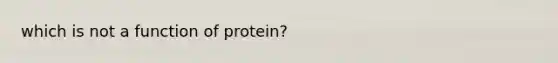 which is not a function of protein?