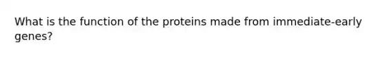 What is the function of the proteins made from immediate-early genes?