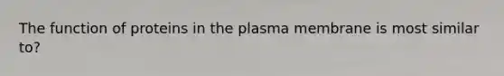 The function of proteins in the plasma membrane is most similar to?