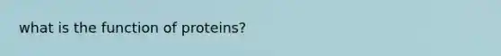 what is the function of proteins?