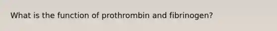 What is the function of prothrombin and fibrinogen?