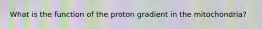 What is the function of the proton gradient in the mitochondria?