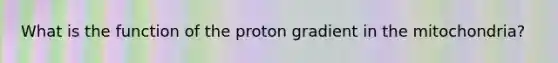 What is the function of the proton gradient in the mitochondria?