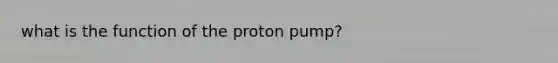 what is the function of the proton pump?