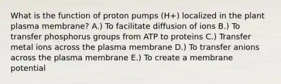 What is the function of proton pumps (H+) localized in the plant plasma membrane? A.) To facilitate diffusion of ions B.) To transfer phosphorus groups from ATP to proteins C.) Transfer metal ions across the plasma membrane D.) To transfer anions across the plasma membrane E.) To create a membrane potential