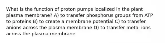 What is the function of proton pumps localized in the plant plasma membrane? A) to transfer phosphorus groups from ATP to proteins B) to create a membrane potential C) to transfer anions across the plasma membrane D) to transfer metal ions across the plasma membrane