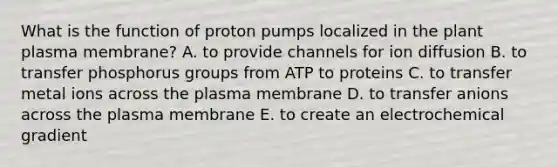 What is the function of proton pumps localized in the plant plasma membrane? A. to provide channels for ion diffusion B. to transfer phosphorus groups from ATP to proteins C. to transfer metal ions across the plasma membrane D. to transfer anions across the plasma membrane E. to create an electrochemical gradient