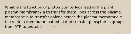 What is the function of proton pumps localized in the plant plasma membrane? a to transfer metal ions across the plasma membrane b to transfer anions across the plasma membrane c to create a membrane potential d to transfer phosphorus groups from ATP to proteins