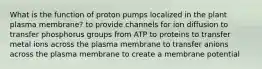 What is the function of proton pumps localized in the plant plasma membrane? to provide channels for ion diffusion to transfer phosphorus groups from ATP to proteins to transfer metal ions across the plasma membrane to transfer anions across the plasma membrane to create a membrane potential