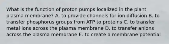 What is the function of proton pumps localized in the plant plasma membrane? A. to provide channels for ion diffusion B. to transfer phosphorus groups from ATP to proteins C. to transfer metal ions across the plasma membrane D. to transfer anions across the plasma membrane E. to create a membrane potential