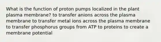 What is the function of proton pumps localized in the plant plasma membrane? to transfer anions across the plasma membrane to transfer metal ions across the plasma membrane to transfer phosphorus groups from ATP to proteins to create a membrane potential