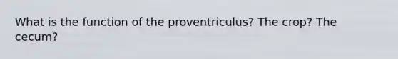 What is the function of the proventriculus? The crop? The cecum?