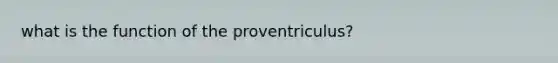 what is the function of the proventriculus?