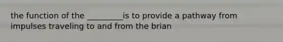 the function of the _________is to provide a pathway from impulses traveling to and from the brian