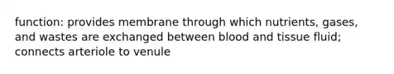 function: provides membrane through which nutrients, gases, and wastes are exchanged between blood and tissue fluid; connects arteriole to venule