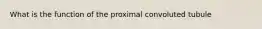 What is the function of the proximal convoluted tubule