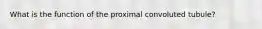 What is the function of the proximal convoluted tubule?