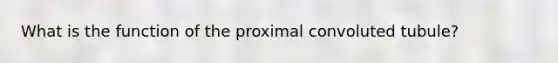 What is the function of the proximal convoluted tubule?