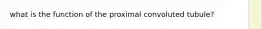 what is the function of the proximal convoluted tubule?