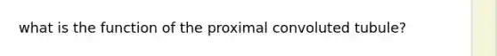 what is the function of the proximal convoluted tubule?