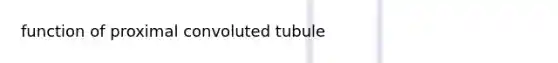 function of proximal convoluted tubule