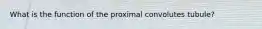 What is the function of the proximal convolutes tubule?