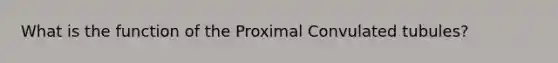 What is the function of the Proximal Convulated tubules?