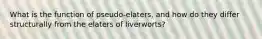 What is the function of pseudo-elaters, and how do they differ structurally from the elaters of liverworts?