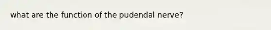 what are the function of the pudendal nerve?