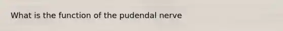 What is the function of the pudendal nerve