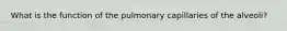 What is the function of the pulmonary capillaries of the alveoli?
