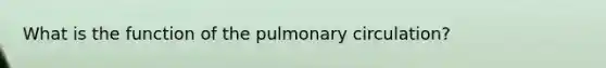 What is the function of the pulmonary circulation?