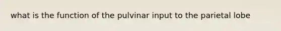 what is the function of the pulvinar input to the parietal lobe